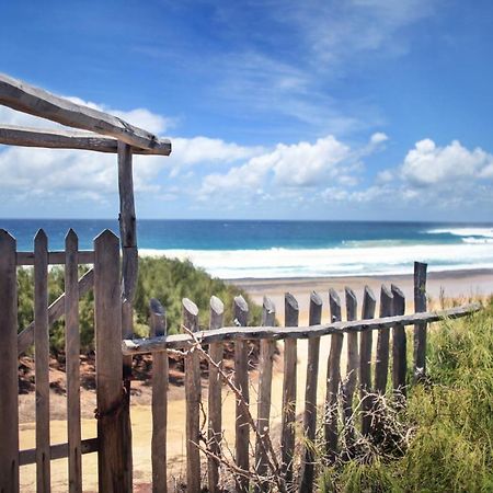 Tofinho Beach House Apartments อินฮัมเบอนี ภายนอก รูปภาพ